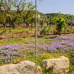 Tatil Evi Alle Preziose Dimore *