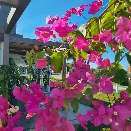 Nyaraló Alle Preziose Dimore Tropea