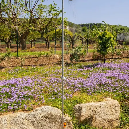 Nyaraló Alle Preziose Dimore *