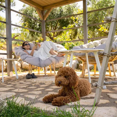 Alle Preziose Dimore *