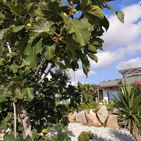 Alle Preziose Dimore *