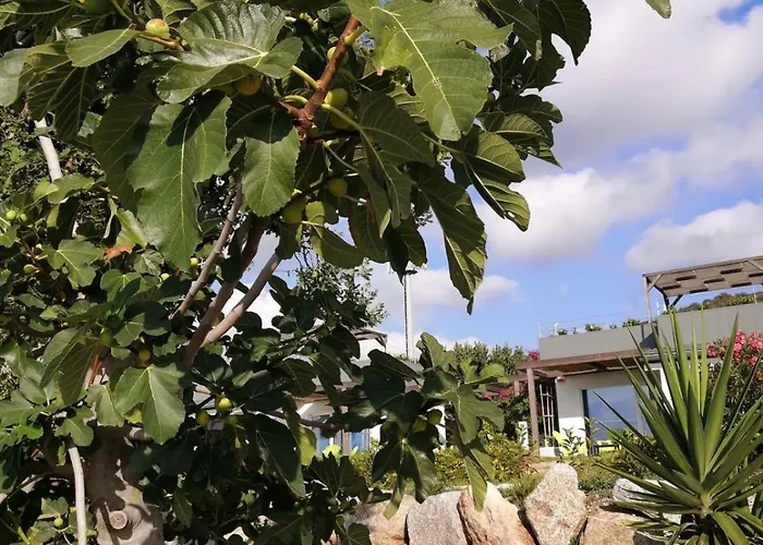 Alle Preziose Dimore *