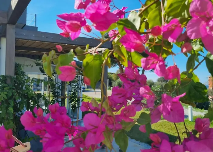 בית נופש Alle Preziose Dimore טרופאה