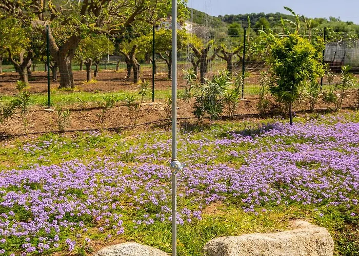 בית נופש Alle Preziose Dimore *